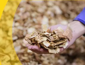 biomass energy