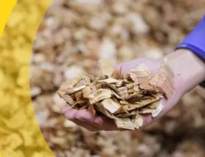 biomass energy