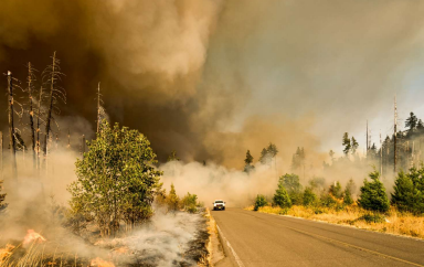 CO2 emitido pelos grandes incêndios