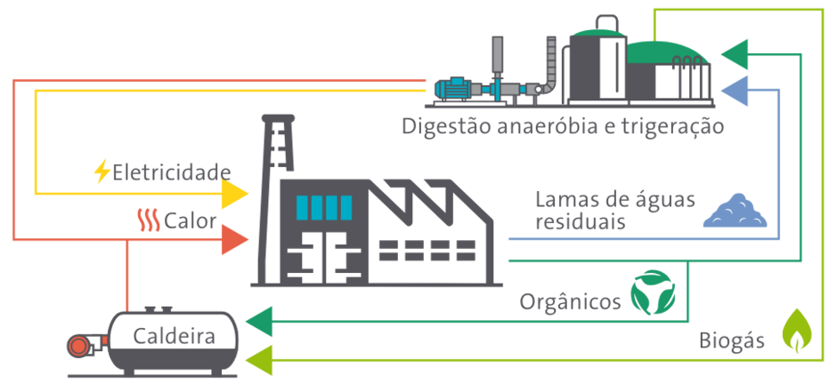 Produção de energia de base local e descarbonizada na indústria de alimentos e bebidas