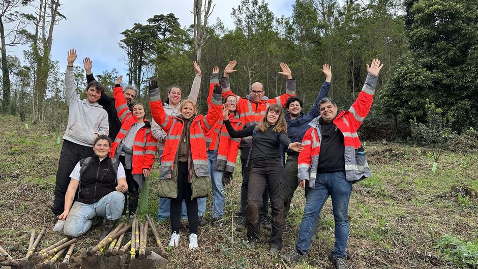 Plantação de árvores - voluntariado