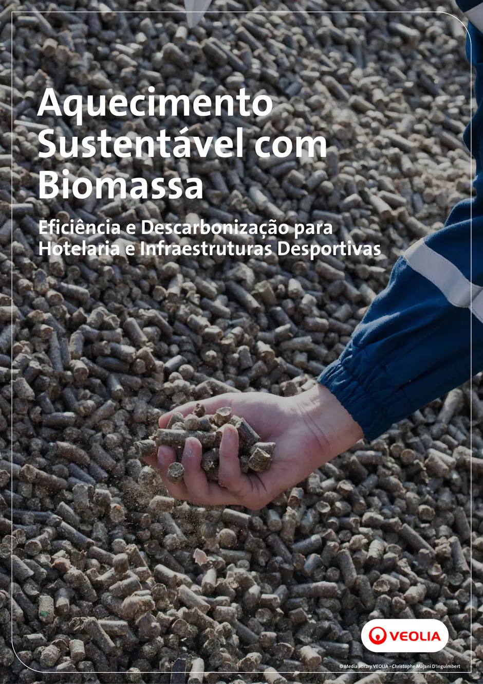 Brochura Energia Térmica Renovável a partir de Biomassa