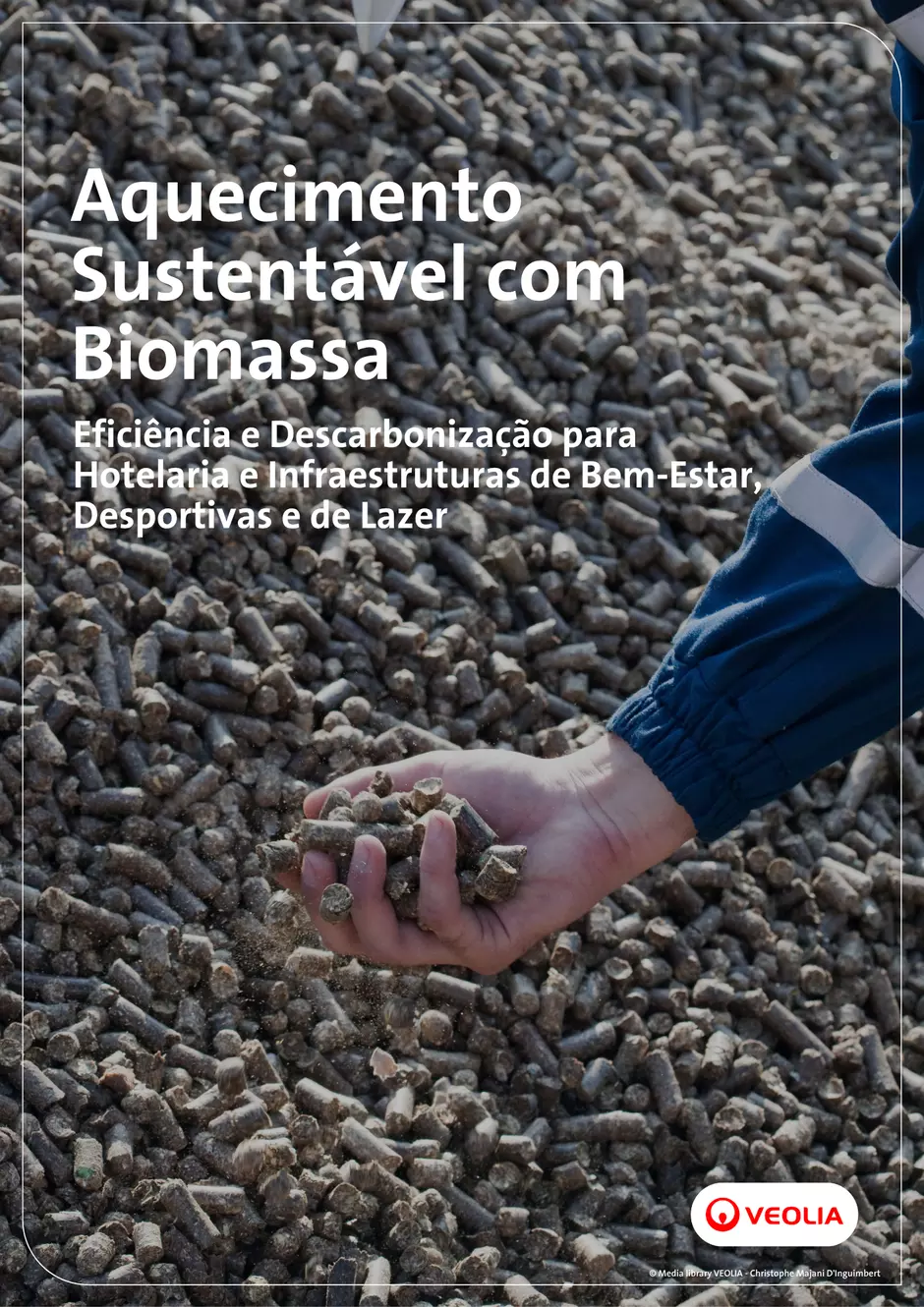 Brochura Energia Térmica Renovável a partir de Biomassa