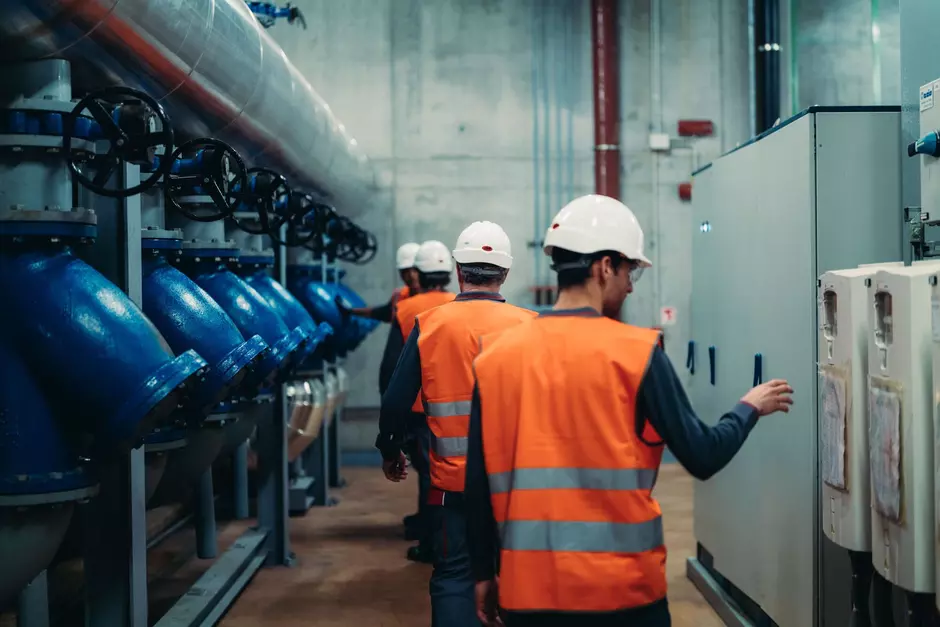 Colaboradores a gerir energia