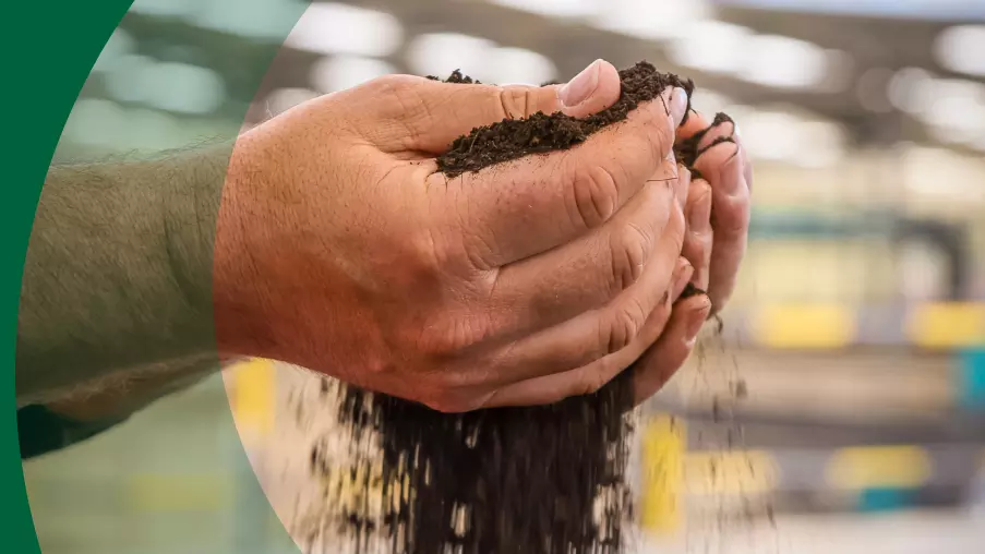 Valorização de resíduos orgânicos nas mãos de um especialista em ambiente