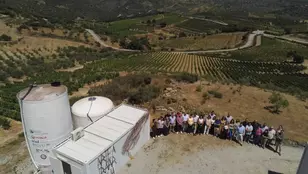 rega de vinhas com água reutilizada